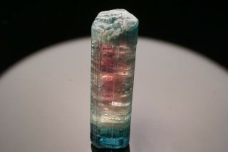 RARE Multicolor Blue Cap Tourmaline Crystal SAPO MINE,  BRAZIL 11