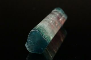 RARE Multicolor Blue Cap Tourmaline Crystal SAPO MINE,  BRAZIL 4