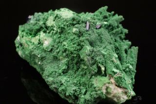 RARE AESTHETIC Bayldonite after Mimetite Crystal TSUMEB,  NAMIBIA - Ex.  Flynn 10