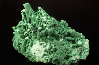 RARE AESTHETIC Bayldonite after Mimetite Crystal TSUMEB,  NAMIBIA - Ex.  Flynn 7