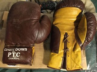 Boxing Vintage Gloves - Count Down - P.  T.  C.  - Canada -