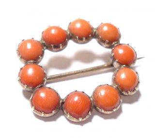 Antique Georgian Or Victorian Coral & 9ct Gold Brooch