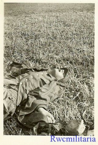 Sad Body Of Kia German Soldier Paying In Open Field