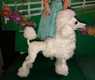 Rare Antique Vintage French Poodle Doll Dog Jumeau Bleuette Cissy