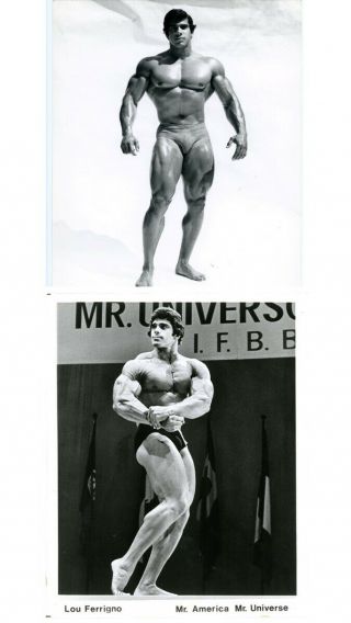 Lou Ferrigno 2 Each Vintage 1980s Photographs Muscle Flexing Pose