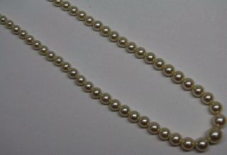 Estate Vintage Graduated Akoya Pearl Strand Necklace Sterling Silver High Luster 2