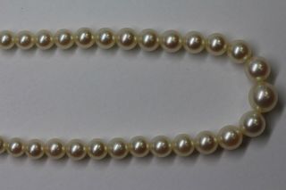 Estate Vintage Graduated Akoya Pearl Strand Necklace Sterling Silver High Luster 8