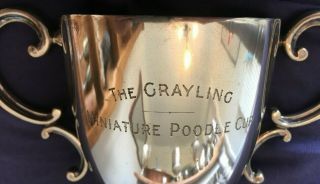 Miniature Poodle Medium/large Silver Plate Dog Trophy,  Loving Cup,  Trophies,  Dog
