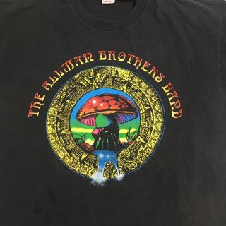 Allman Brothers Band 1996 True Vintage T - shirt XL Summer Tour Concert Tee 2