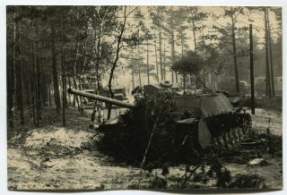 Wwii Photo: Destroyed German Hummel Motorized Howitzer In The Forest