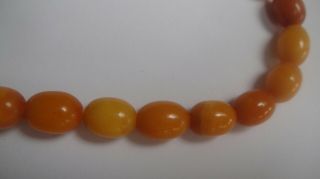 VINTAGE ANTIQUE BUTTERSCOTCH EGG YOLK AMBER BEAD NECKLACE 16 GRAMS 3