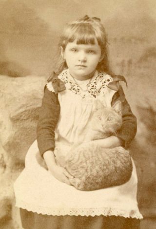 Girl Holds Wide Eyed Pussy Cat Vintage Cdv Photo