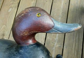 VINTAGE MASON CHALLENGE GRADE REDHEAD DUCK DECOY 2