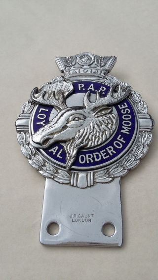 Vintage J R Gaunt P.  A.  P.  Loyal Order Of Moose 3
