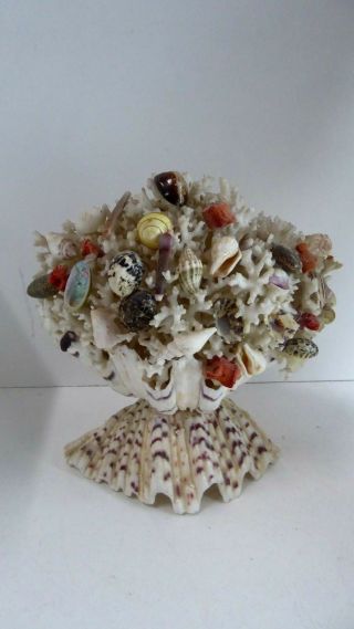 Vintage Kitsch Clam Shell Decorative Arts Crafts Shell Lamp Mid Century