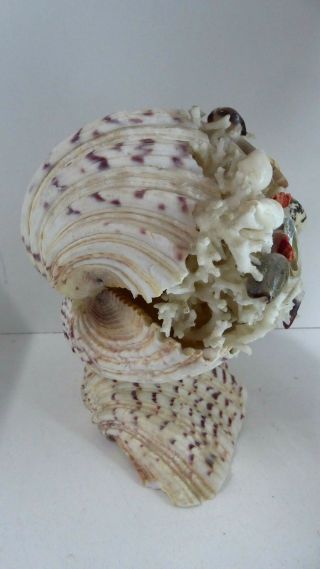 VINTAGE KITSCH CLAM SHELL DECORATIVE ARTS CRAFTS SHELL LAMP MID CENTURY 2