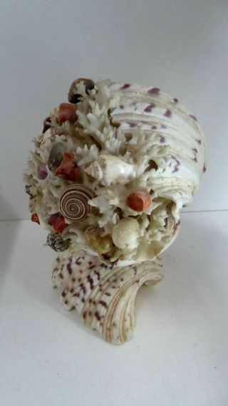 VINTAGE KITSCH CLAM SHELL DECORATIVE ARTS CRAFTS SHELL LAMP MID CENTURY 4