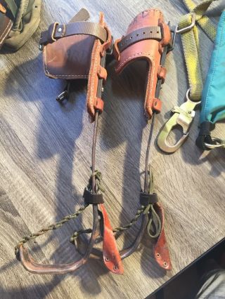 Vintage Buckingham Tree Pole Climbing Spikes With Belt And Harness 2