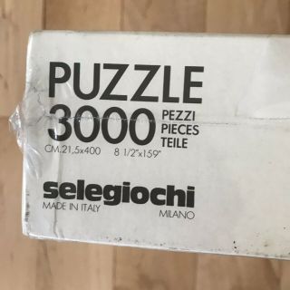 Vintage M.  C.  Escher Metamorphose 3000 Pc Puzzle 4 In 1 Selegiochi Italy 8