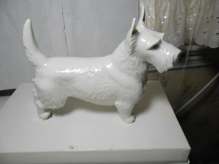 Nyphenburg Vintage " Scottish Terrier " Porcelain Dog Outstanding Quality Look Wow