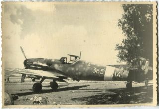 Wwii Archive Photo: Italian Air Force Messerschmitt Bf 109 Aircraft
