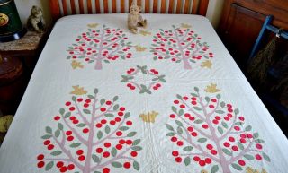 Vintage Birds and Cherry Trees Hand Stitched Applique Quilt 2
