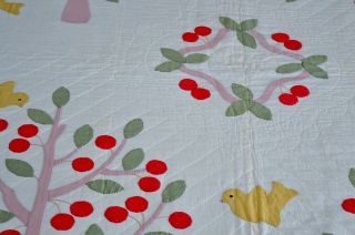 Vintage Birds and Cherry Trees Hand Stitched Applique Quilt 3