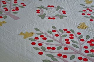 Vintage Birds and Cherry Trees Hand Stitched Applique Quilt 4