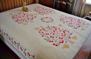 Vintage Birds and Cherry Trees Hand Stitched Applique Quilt 5