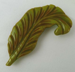 Vintage Carved Bakelite Leaf Feather Brooch Pea Green With Brown 3.  5 Inches