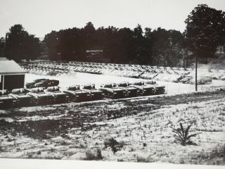 Wwii Hundreds Of Shermans Tanks Before Deployment 1943 B&w 4 " X 6.  25 "