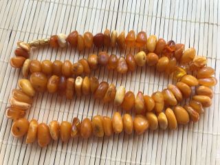 Old Geniune Natural Antique Baltic Vintage Amber jewelry stone Necklace 6