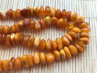 Old Geniune Natural Antique Baltic Vintage Amber jewelry stone Necklace 8