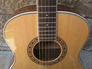 Zager " Easy Play " Washburn Wmj10s Acoustic Guitar.  Rare Guitar
