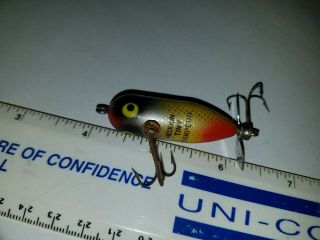 Heddon Tiny Torpedo Smithwick Under Eyes perch 2