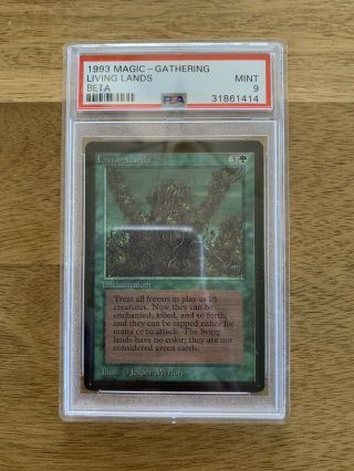 Mtg Beta Living Lands Psa 9 Bgs Rare Vintage Magic