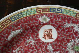 Vintage Chinese MUN SHOU ROSE Longevity Porcelain DINNER PLATES Set of 4 10 - 1/8 