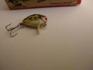 Heddon 980 Punkie 5