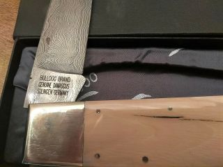 RARE BULLDOG BRAND GIANT DISPLAY KNIFE WITH KILLER FOSSIL SCALES 4