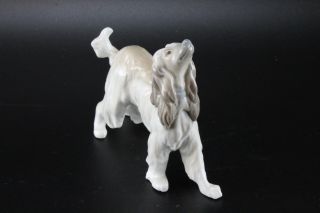 Vintage Lladro Spain 5 " Afghan Hound Glazed Porcelain Dog Figurine 1282