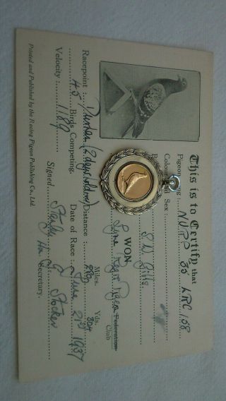 Antique Gold Sterling Silver Pigeon Racing Medal Trophy Lyme Regis Club,  Card