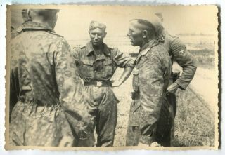 Wwii Archive Photo: Group Of German Elite Troops Tankmen / Motorists