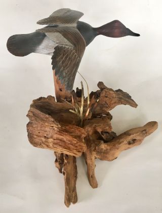 Hand Carved Painted Canvasback Drake Flying Wood Duck Decoy Leon J.  Boninu