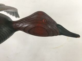 Hand Carved Painted Canvasback Drake Flying Wood Duck Decoy Leon J.  Boninu 3