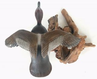 Hand Carved Painted Canvasback Drake Flying Wood Duck Decoy Leon J.  Boninu 5