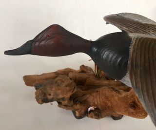 Hand Carved Painted Canvasback Drake Flying Wood Duck Decoy Leon J.  Boninu 8
