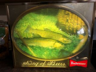 True Vintage Lighted 3d Rainbow Trout Fishing Light Budweiser King Of Beers Sign