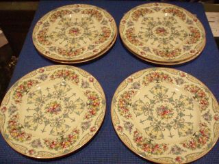 Set Of 10 Vintage Royal Worcester Porcelain Dinner Plates