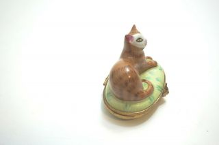 VINTAGE LIMOGES FRANCE / TIFFANY & CO KITTEN CAT TRINKET BOX HAND PAINTED CUTE 3