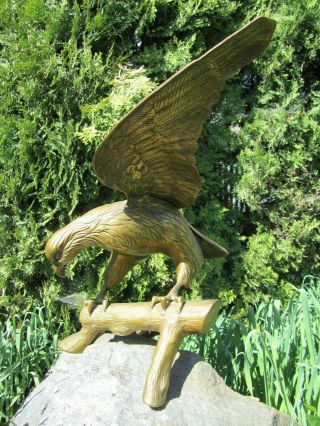 Large Vintage Cast Brass American Eagle On Branch Sculpture Huge 26 " Wingspan